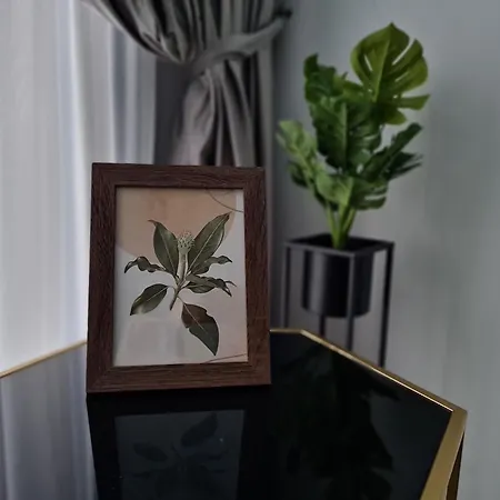Ema Luxury Năvodari